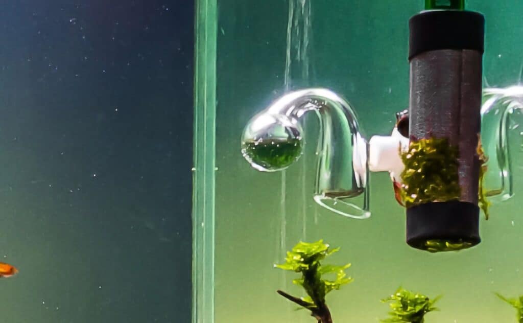 closeup of an aquarium co2 drop checker with green solution showing the level of dissolved co2 in tank