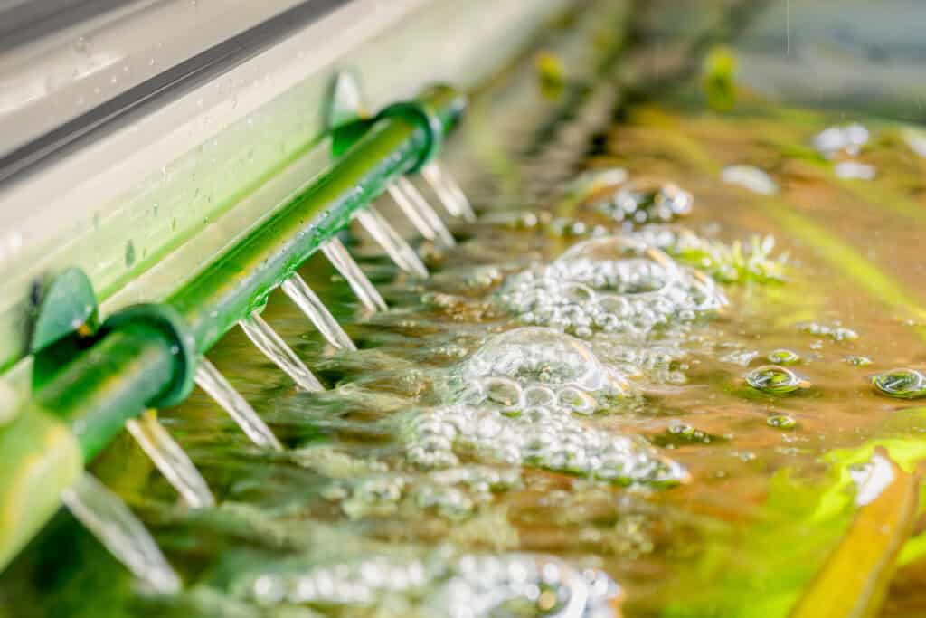 Aquarium FIlter Output providing surface agitation